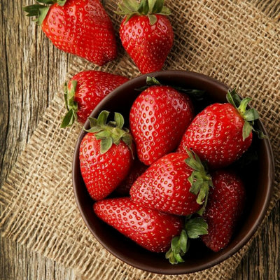 6 x Strawberry Elsanta Fruit Plants in 9cm Pots - Grow Your Own
