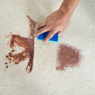 60 Second Carpet Magic (500ml)