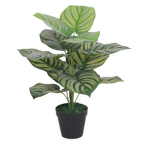 60cm Artificial Green Stripe Leaf Plant