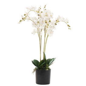 60cm Artificial Luxury Orchid - Triple Stem - White Realistic Plant