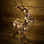 60cm Brown Outdoor Standing LED Wicker Reindeer Christmas Decoration in Warm White