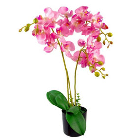 60cm Leaf Design UK Realistic Artificial Orchid Flower Display in Pot