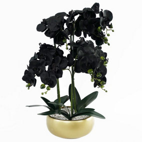 60cm Orchid Black - Gold Ceramic Planter