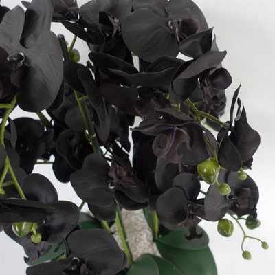 60cm Orchid Black - White Ceramic Planter