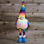60cm Premier Battery Operated Lit Standing Christmas Rainbow Gonk