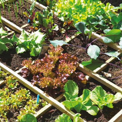 60L Garden Mulch by Laeto Your Signature Garden - FREE DELIVERY INCLUDED - 8