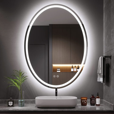 60x80cm Oval LED Bathroom Mirror with Light Illuminated Backlit