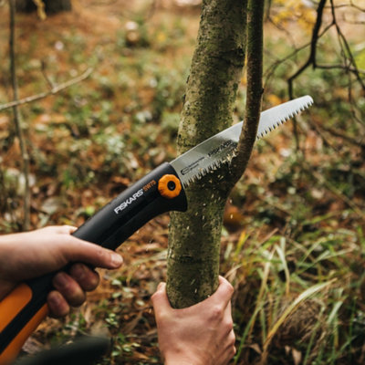 Shop pruning saws.