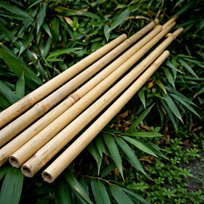 Uetian Thin Bamboo Cane Sticks For Plant Support (2 Ft) (6-8 mm) 10 Bamboo Cane Sticks from B&Q
