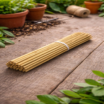 Uetian Bamboo Garden Canes For Indoor And Outdoor Plants (2 Ft) (6-8 mm) 10 Bamboo Cane Sticks from B&Q
