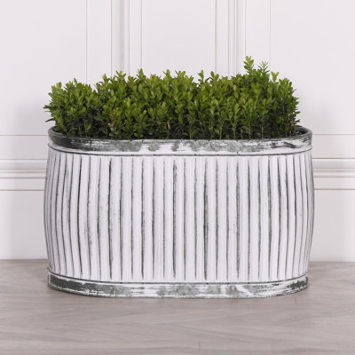 Blanchefleur White Washed Metal Ribbed Oval Dolly Tub Planter Large from B&Q