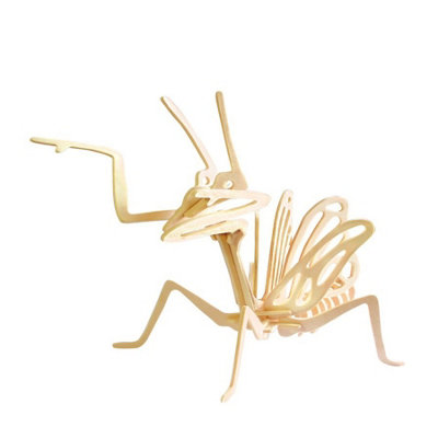 Robotime 3D Wooden Praying Mantis Insect Puzzle from B&Q