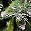 6ft (1.8m) Snowtime Frosted Glacier Pine Snow Tipped Christmas Tree with Pine Cones