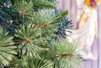 6FT Green Kentucky Pine Christmas Tree