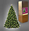 6FT Prelit Green Kentucky Christmas Tree Warm White LEDs