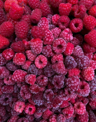 6x Mixed Potted Raspberry Fruit Plants 6 Varieties in 2 Litre Pots By ...