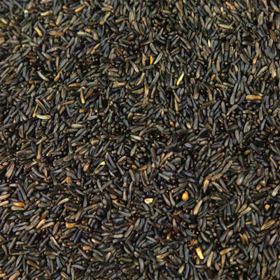 7.5kg SQUAWK Nyjer Seeds - Quality Wild Bird Feed High Energy Garden Finch Food