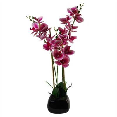 70cm Artificial Orchid Dark Pink with Black Ceramic Planter