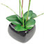 70cm Artificial Orchid Light Pink with Black Ceramic Planter
