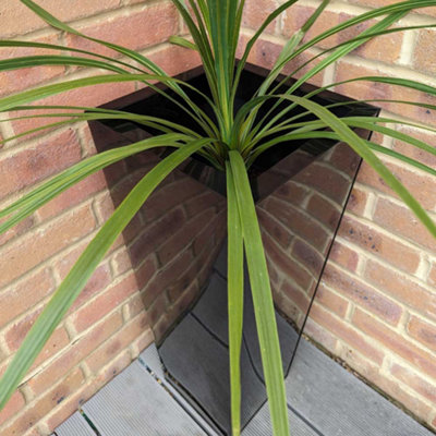 70cm Zinc Platinum Black Tall Tapered Square Planter