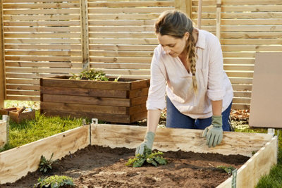 Person removing a weed from a planter made from a pallet collar.