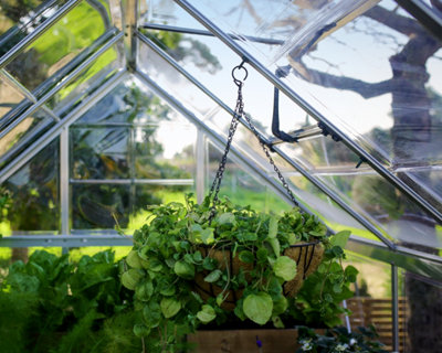 B&Q -  Canopia Greenhouse Plant Hangers Kit