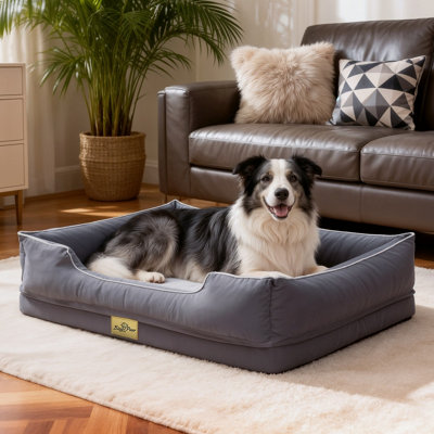 Bingopaw 105X75.5X21Cm Orthopedic Dog BedCalming Pet Sofa Couch Enhanced BolsterNonslip BottomGrey from B&Q