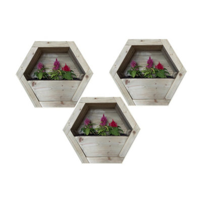 B&Q -  Medium Hanging Wooden Hexagon Wall Planter (Set Of 3)L16 X W44 X H38 CmFully Assembled