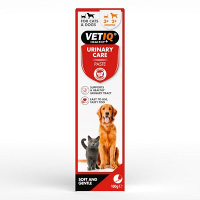  - Vet Iq Urinary Care Paste 100G