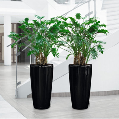LECHUZA Plantenbak Cube Premium Kunststof All-in-One Set Zwart 50 X 50 X 50 Cm