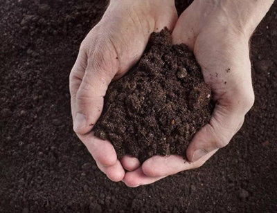 75L Multi Purpose Compost, Multi-Purpose Fertilisers, Gardening Soils ...
