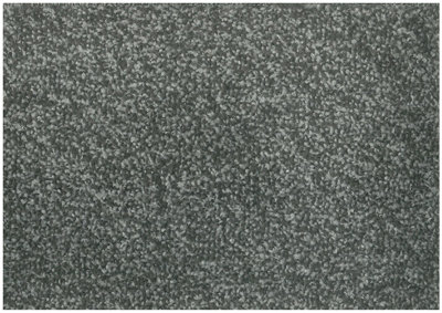 77 Gothenburg Silver Felt Backing Carpet, 9.5mm Twist Pile Carpet, Heavy Duty Carpet for Home-12m(39'4.4") X 4m(13'1")-48m²