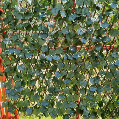 Prime Plus Artificial Maple Leaf Screening On Expandable Willow Trellis,privacy Fence Panels Screening  1M X 2M from B&Q