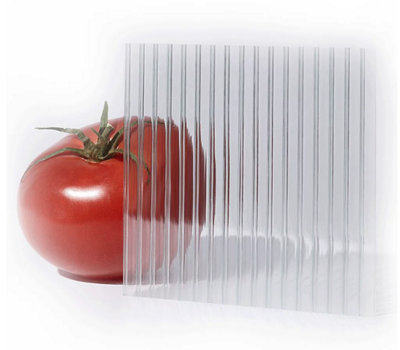 Flexishield 4mm Clear Twinwall Polycarbonate SheetsUv Resistant Greenhouse Panels And Roofing500X610mm from B&Q