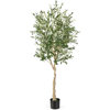 Found it product image.