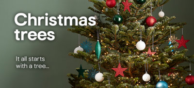 Christmas trees. From artificial to real, all you need to know.