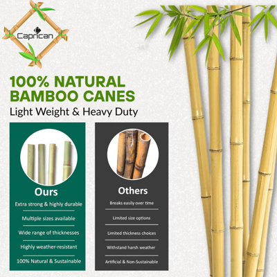 7ft Bamboo Canes 10 Pack Garden Plant Support Sticks Natural Growing ...