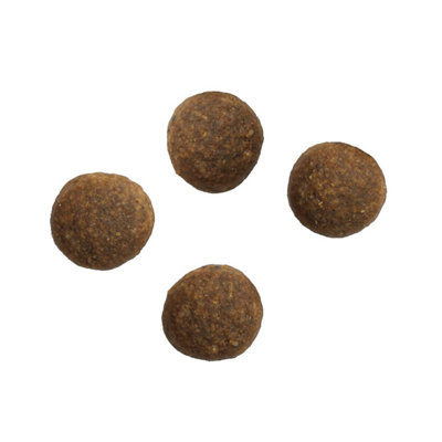 7kg Crave Natural Grain Free Adult Dry Dog Food Lamb & Beef Dog Biscuits