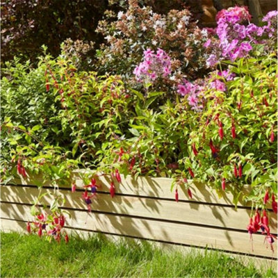 8" Border Edging (Pack of four)