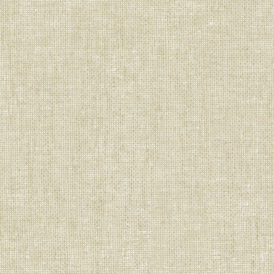 Galerie Italian Textures 4 Beige Plain Texture Wallpaper from B&Q