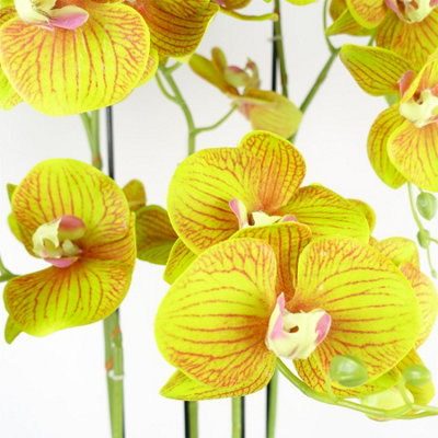 80cm Large Orchid Lime Yellow - 41 REAL TOUCH flowers