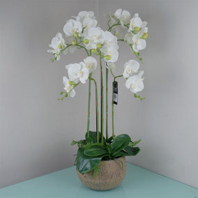 80cm Large Orchid White - 41 REAL TOUCH flowers