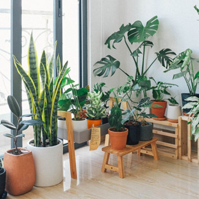 80L Houseplant Compost by Laeto Your Signature Garden - FREE DELIVERY INCLUDED - 6