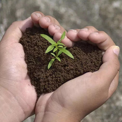 80L Multi Purpose Compost, Multi-Purpose Fertilisers, Gardening Soils ...