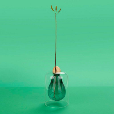 B&Q -  Decorative Avocado Shaped Green Glass Cultivator Seed Growing Flower Vase