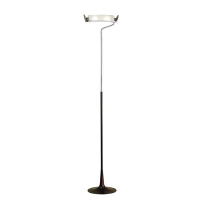 Luminosa Lighting Luminosa Zira Floor Lamp 2 Light G9Polished Chrome/frosted White Glass/wengeNot Led/cfl Compatible from B&Q