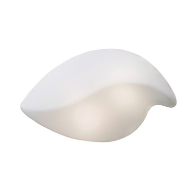 Luminosa Lighting Luminosa Natura Ceiling/wall 2 Light E27 Small IndoorPolished Chrome/opal White from B&Q