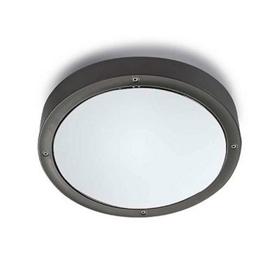 Luminosa Lighting Luminosa Basic Outdoor Simple Flush Urban GreyOpal Ip65 E27 from B&Q
