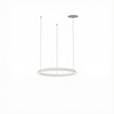 Luminosa Lighting Luminosa Circular Downward Recessed 62Cm Home White Led 33W 4000K Dali Dimmming from B&Q