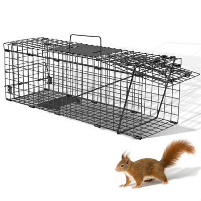 24 Inch Black Trap Large Animal Trap Cage from B&Q